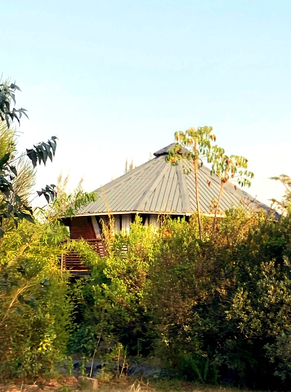 The Sunset Suite, seen above the tree line