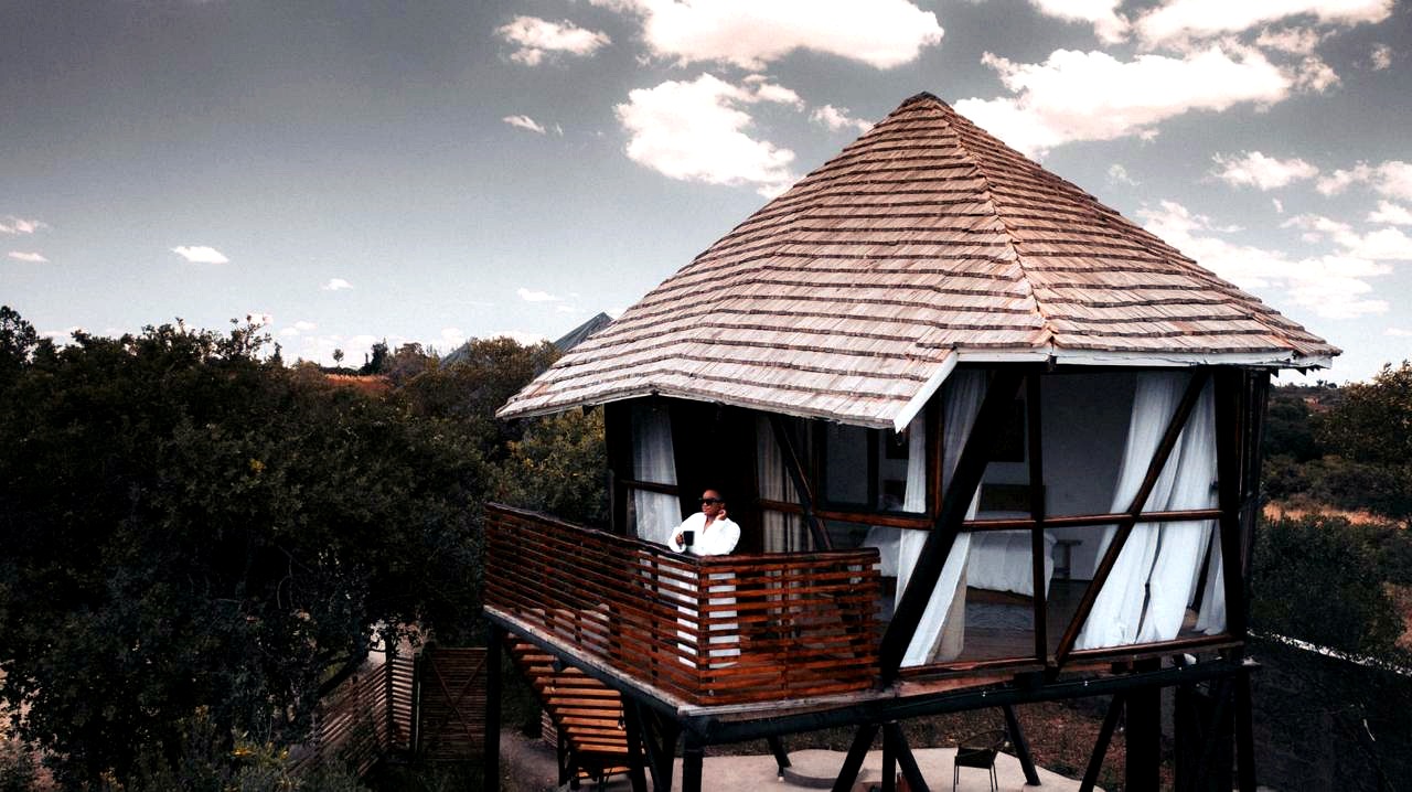 The Treehouse Suite exterior, nestled in the forest canopy